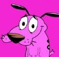 CCDOG