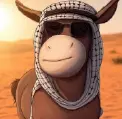 DONKEY