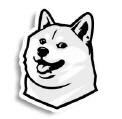 USD1DOGE