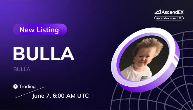 BULLA-pc-en