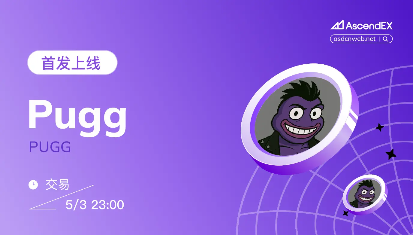 PUGG-pc-cn